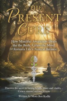 the present cure (ebook)-moez ben kadhi-9798233266256