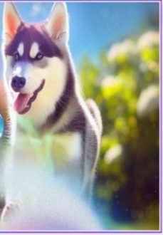 uma jornada magica de diverso (ebook)-sandra franzon-3410005774566