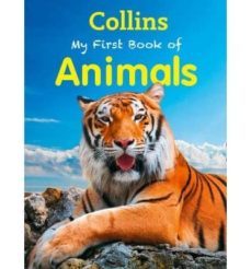 my first book of animals-9780007521166