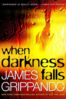 when darkness falls (ebook)-james grippando-9780061755866