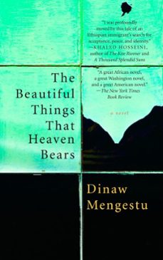 the beautiful things that heaven bears (ebook)-dinaw mengestu-9781101217566