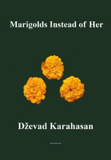 -dzevad karahasan-9781310576966