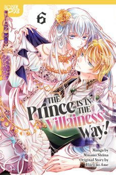 -minami shiina-hiiro no ame-9781427889966