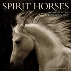 spirit horses 2026 wall calendar by tony stromberg-tony stromberg-9781524899066