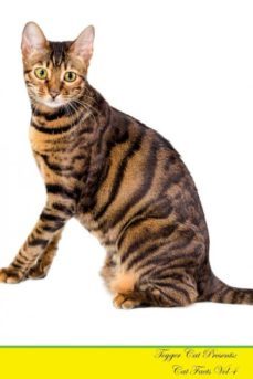 toyger cat presents-9781526965066