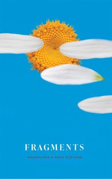 fragments (ebook)-magdalena stevens-ashe stevens-9781737952466