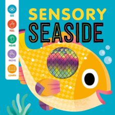 sensory seaside. baby senses play book-9781837951666