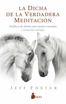 la dicha de la verdadera meditacion (ebook)-jeff foster-9788418000966