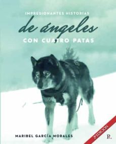 impresionantes historias reales de angeles con cuatro patas-maribel garcia morales-9788419074966