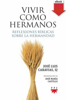 vivir como hermanos (ebook)-jose luis caravias-9788428829366