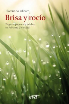brisa y rocio (ebook)-9788490731666