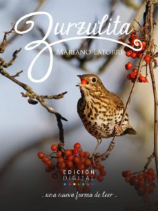 zurzulita (ebook)-mariano latorre-9789569197666
