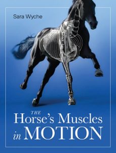 horse's muscles in motion (ebook)-sara wyche-9780719840876