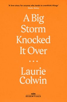 a big storm knocked it over (ebook)-laurie colwin-9781474615976