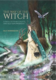 -sally morningstar-9781800690776