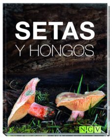setas y hongos-9783869417776