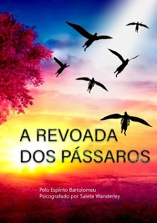 a revoada dos passaros (ebook)-maria da salete santos wanderley ribeiro-9786500889376