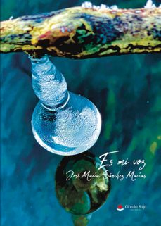 es mi voz-jose maria sanchez macias-9788410617476