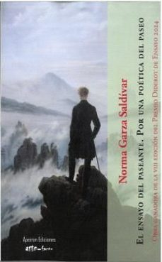 el ensayo del paseante. por una poetica del paseo-norma garza saldivar-9788412918076