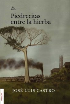piedrecitas entre la hierba (ebook)-jose luis castro-9788419277176