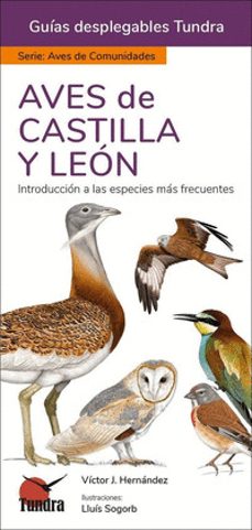 huellas de animales 17ª ed - guias desplegables tundra-victor j. hernandez-9788419624376