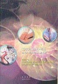 touch, blindness and neuroscience-soledad ballesteros jimenez-9788436248876