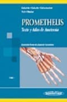 prometheus: texto y atlas de anatomia (t.1): anatomia general y a parato locomotor-michael schunke-f. j. schulte-9788479039776