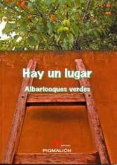 hay un lugar-9788493818876