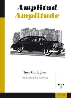 amplitude-9788497048576
