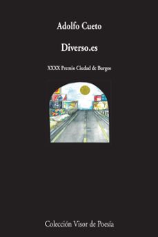 diverso.es (xl premio ciudad de burgos)-9788498958676