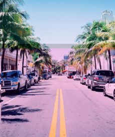 jo toco (cat)-emanuela bussolati-9788868907976