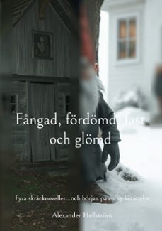 fngad, fordomd, fast och glomd (ebook)-9789181147476