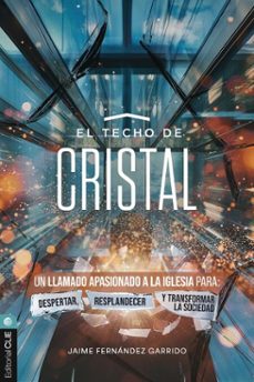 el techo de cristal (ebook)-jaime fernandez garrido-9791387625276