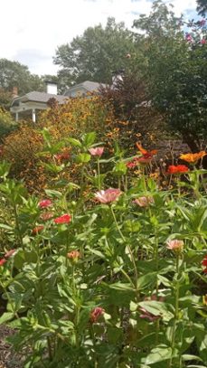 a lost people (ebook)-beige hunter-9798233058776