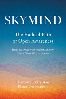 skymind (ebook)-charlotte rotterdam-pieter oosthuizen-9780834846586