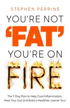 youre not fat, youre on fire-stephen perrine-9781035040186