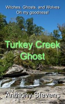 turkey creek ghost (ebook)-anthony stevens-9781370396986