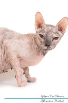 sphynx cat affirmations workbook sphynx cat presents-9781526976086
