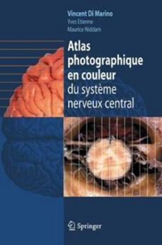 -vincent di marino-yves etienne-maurice niddam-9782287990786