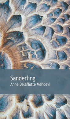 -anne delaflotte mehdevi-9782847203486
