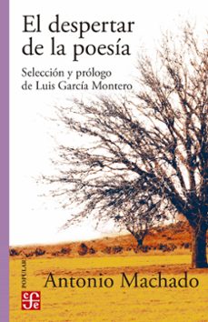 el despertar de la poesia (ebook)-antonio machado-9786071667786