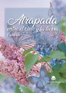 atrapada entre el cielo y la tierra (ebook)-9788411599986