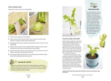 el huerto en la cocina: residuo cero. recultiva los restos de las verduras que cocinas-katie elzer peters-9788412026986