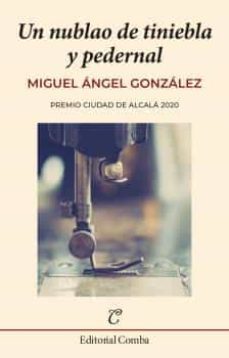 un nublao de tiniebla y pedernal (premio ciudad de alcala de narrativa 2020)-9788412223286