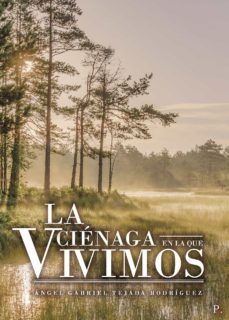 la cienaga en la que vivimos (ebook)-angel gabriel tejada rodriguez-9788418721786