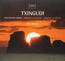 txingudi: edertasunaren omenez/hommage a la beaute-alain miranda-9788490272886