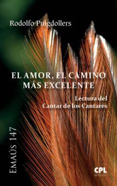 el amor, el camino mas excelente (ebook)-rodolfo puigdollers-9788491651086