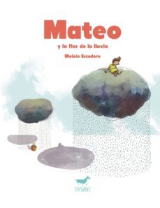 mateo y la flor de la lluvia-9788494317286