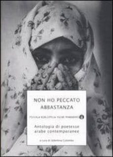 non ho peccato abbastanza-9788804564386