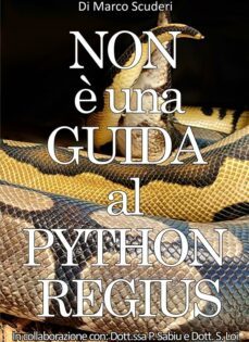 non è una guida al python regius (ebook)-9791222409986